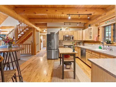 208 Brookside Dr, Bailey, CO 80421 photo 28