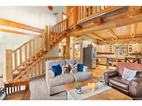 208 Brookside Dr, Bailey, CO 80421 photo 21