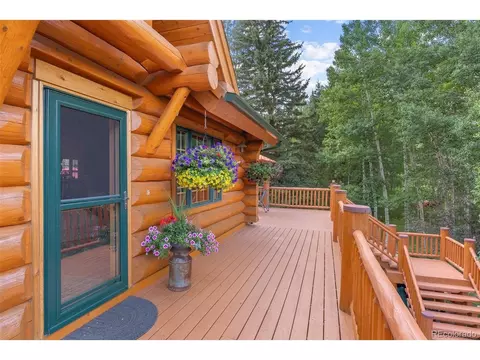 208 Brookside Dr, Bailey, CO 80421 photo 19
