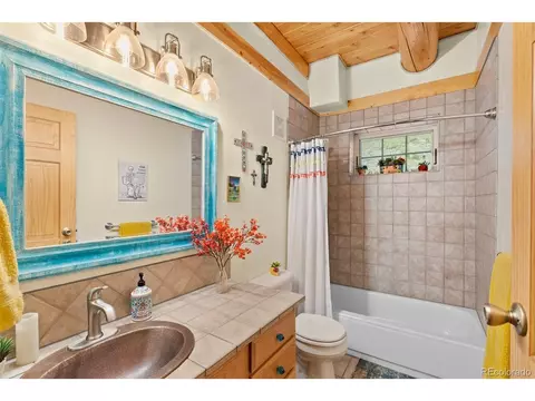 208 Brookside Dr, Bailey, CO 80421 photo 33