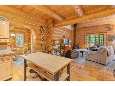 208 Brookside Dr, Bailey, CO 80421 photo 23