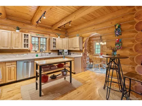 208 Brookside Dr, Bailey, CO 80421 photo 30