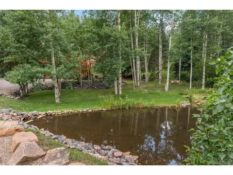 208 Brookside Dr, Bailey, CO 80421 photo 10