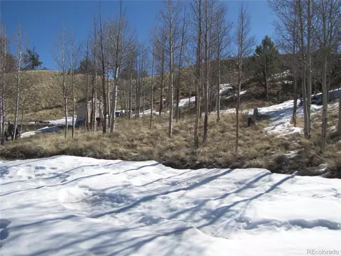 180 Corral Rd, Hartsel, CO 80449 photo 13