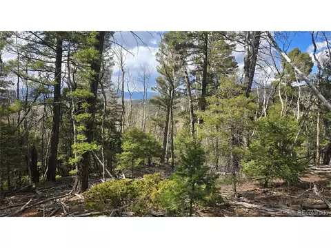 5261 Scott Rd, Fort Garland, CO 81133