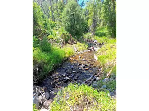 West Creek - Cr 48 Rd, Howard, CO 81233