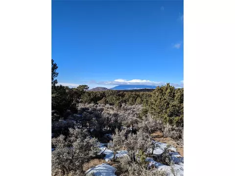 2323 Yablon Rd, Fort Garland, CO 81133