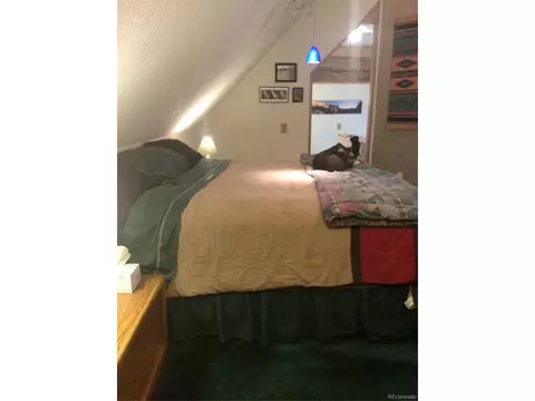 4266 S Eldridge St #309, Morrison, CO 80465 photo 11