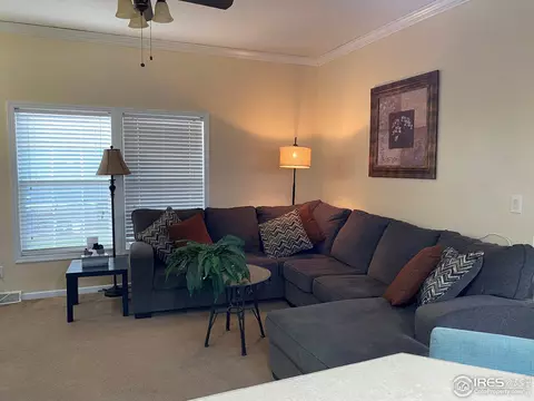 10823 Bailey St #113, Firestone, CO 80504 photo 8