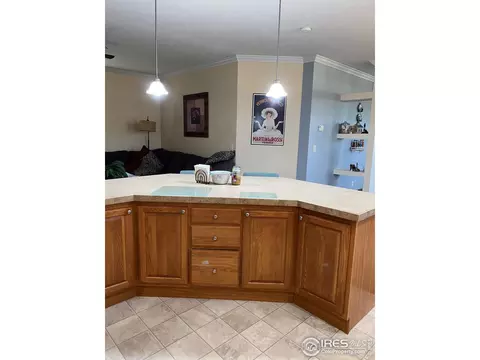 10823 Bailey St #113, Firestone, CO 80504 photo 5