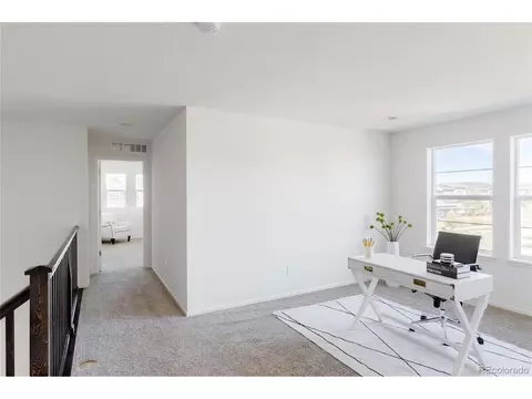 8196 E 53rd Dr, Denver, CO 80238 photo 13