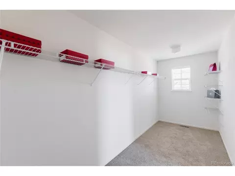8196 E 53rd Dr, Denver, CO 80238 photo 20