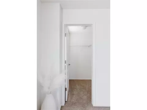 8196 E 53rd Dr, Denver, CO 80238 photo 23