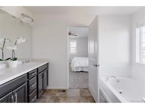 8196 E 53rd Dr, Denver, CO 80238 photo 19