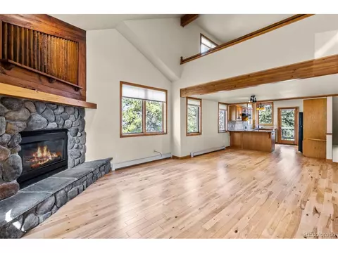 142 High Meadow Dr, Dillon, CO 80435 photo 13