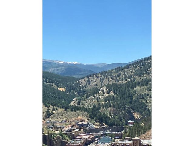 3 Miners Rd, Black Hawk, CO 80422