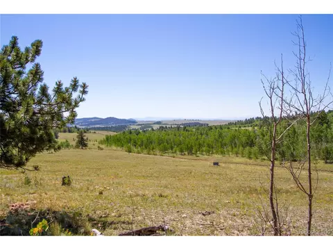 4134 Buffalo Ridge Rd, Como, CO 80432 photo 37