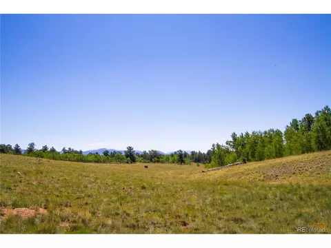 4134 Buffalo Ridge Rd, Como, CO 80432 photo 33