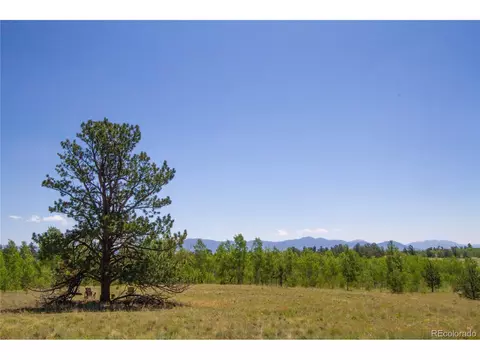4134 Buffalo Ridge Rd, Como, CO 80432 photo 32