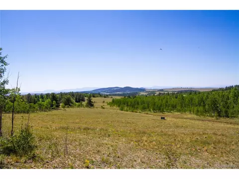 4134 Buffalo Ridge Rd, Como, CO 80432 photo 26