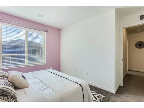18639 E 50th Pl, Denver, CO 80249 photo 24