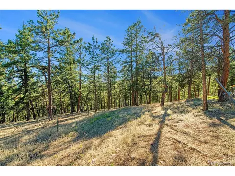 416 Road D, Pine, CO 80470 photo 24