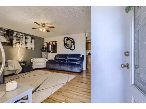 2120 E 83rd Pl, Denver, CO 80229 photo 4
