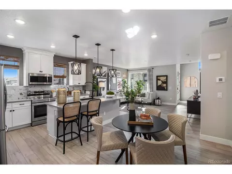 16429 Askins Loop, Parker, CO 80134 photo 6