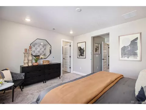 16429 Askins Loop, Parker, CO 80134 photo 18