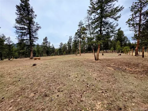 Elk Horn Ct, Bailey, CO 80421