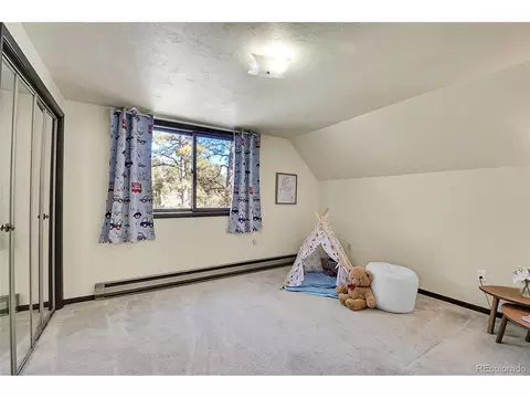 375 Kudu Trl, Bailey, CO 80421 photo 18