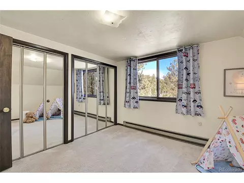 375 Kudu Trl, Bailey, CO 80421 photo 19