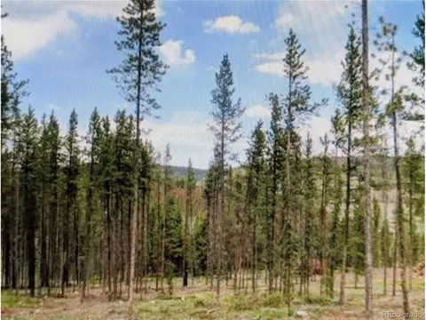 337 County Road 5221, Tabernash, CO 80478