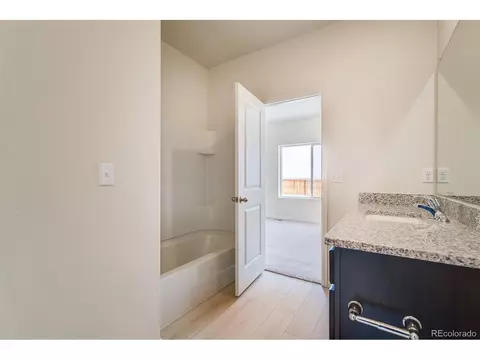 893 Emerald Lakes St, Windsor, CO 80550 photo 15