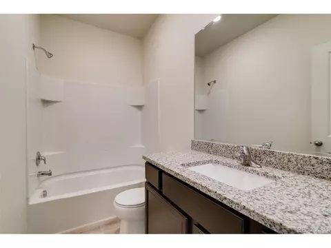 893 Emerald Lakes St, Windsor, CO 80550 photo 18