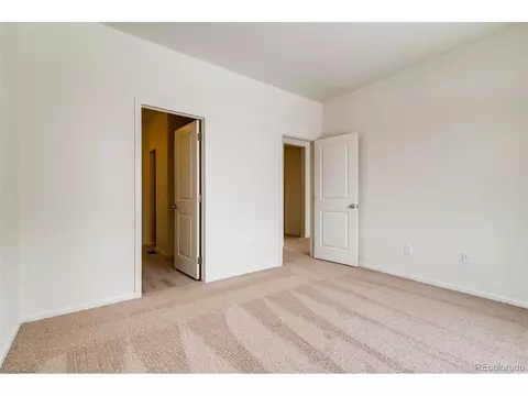 893 Emerald Lakes St, Windsor, CO 80550 photo 13