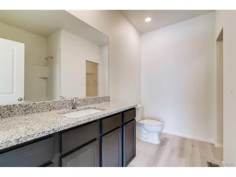 893 Emerald Lakes St, Windsor, CO 80550 photo 14