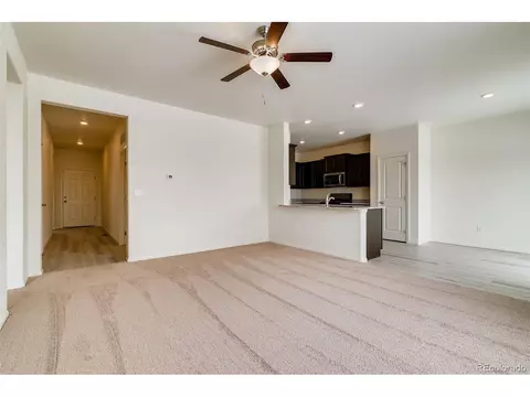 893 Emerald Lakes St, Windsor, CO 80550 photo 4