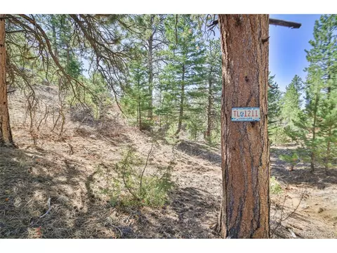 640 Ridgeway Dr, Cotopaxi, CO 81223 photo 32