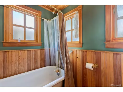 608 1st St, Georgetown, CO 80444 photo 18
