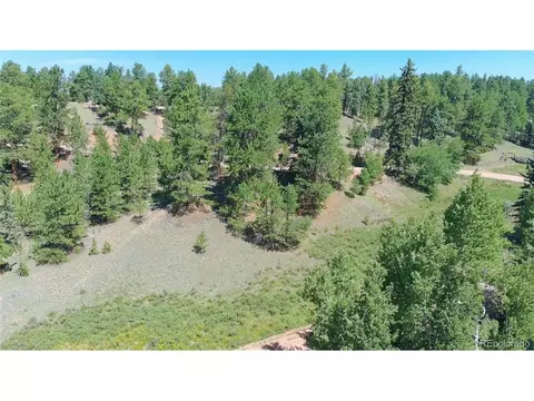 835 Spring Valley Ln, Florissant, CO 80816