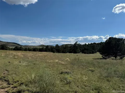 1038 20th Trl, Cotopaxi, CO 81223