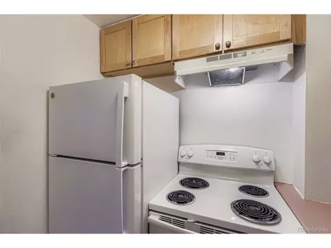 1029 E 8th Ave #103, Denver, CO 80218 photo 6