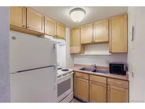 1029 E 8th Ave #103, Denver, CO 80218 photo 5