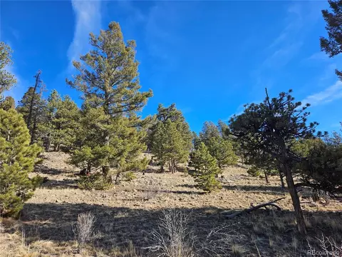 Bonell Dr, Fairplay, CO 80440 photo 18