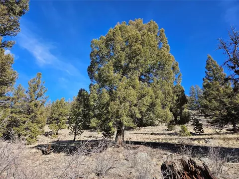 Bonell Dr, Fairplay, CO 80440 photo 9