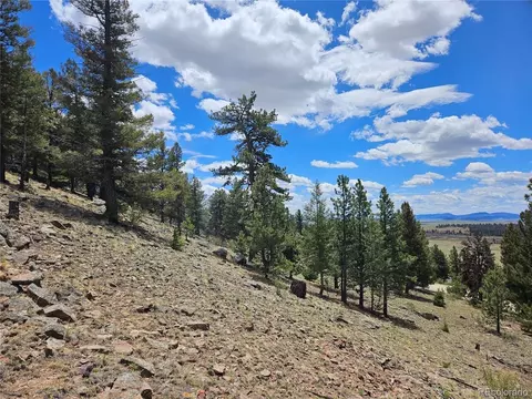 Bonell Dr, Fairplay, CO 80440 photo 43