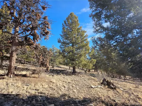 Bonell Dr, Fairplay, CO 80440 photo 12