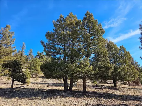 Bonell Dr, Fairplay, CO 80440 photo 13