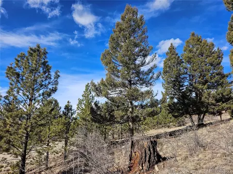 Bonell Dr, Fairplay, CO 80440 photo 11